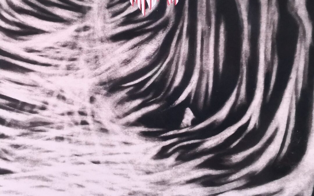 Nirnaeth “Il Paradiso non è altrove” (Andromeda Relix, 2024)