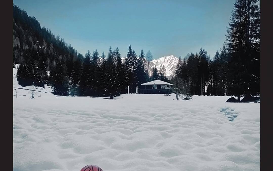 Niccolò Fabi “Libertà negli occhi” (BMG, 2025)