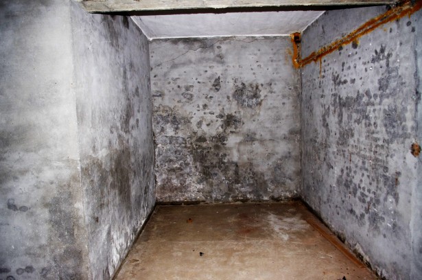 Una tipica cantina underground. Si noti la muffa che amplifica il concetto oltre che l'odore di Camembert.