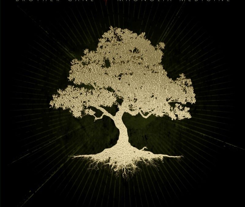 Brother Cane “Magnolia Medicine” (Double Dragon Records, 2026)